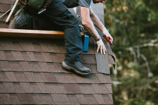 Best Roof Gutter Cleaning  in Northford, CT